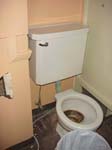 TOILET_COMMERCIAL_BUILDING